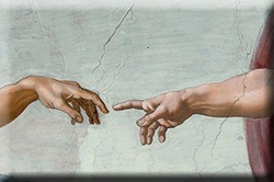 Contact