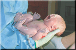 DIT - Imagen HumanNewborn de Ernest F - Trabajo propio. Disponible bajo la licencia Creative Commons Attribution-Share Alike 3.0 va Wikimedia Commons - http://commons.wikimedia.org/wiki/File:HumanNewborn.png#mediaviewer/Archivo:HumanNewborn.png