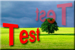 Test OnLine