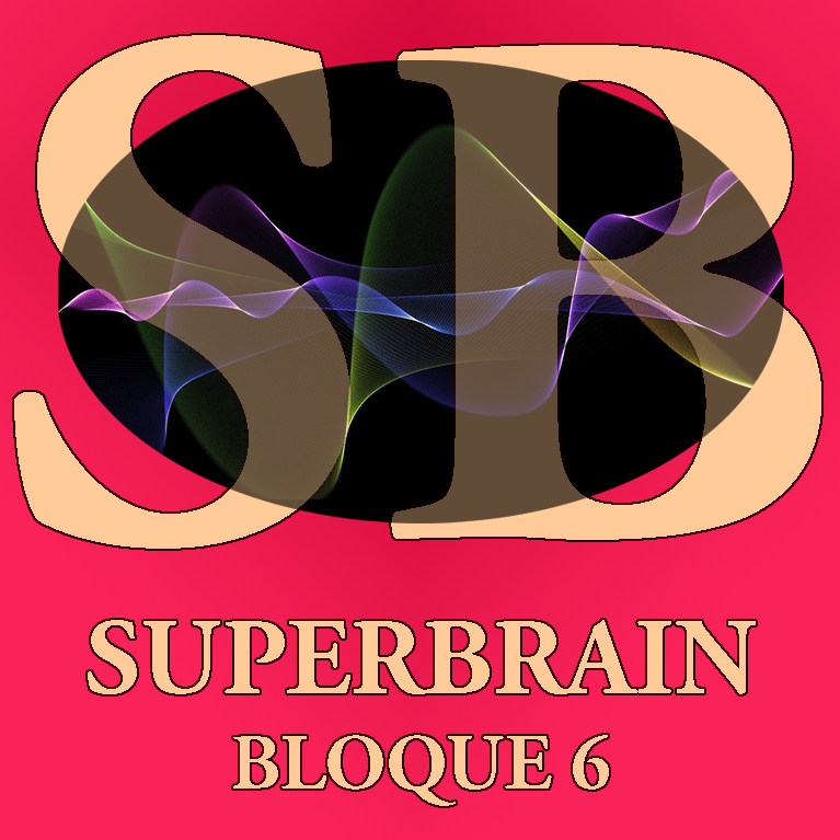 Superbrain Bloque 6