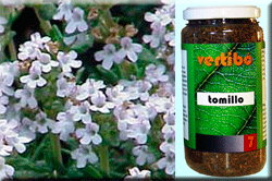 Vertib 07 Farigola