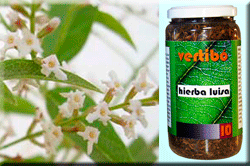 Vertib 10 Lemon Verbena