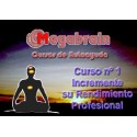 CURSO 01 - RENDIMIENTO PROFESIONAL