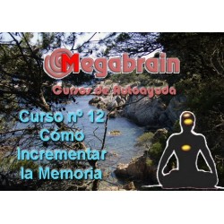 CURSO 12 - CÓMO INCREMENTAR LA MEMORIA