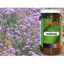 ERVAS VERTIBÓ 04 - VERBENA (URGEBÃO)