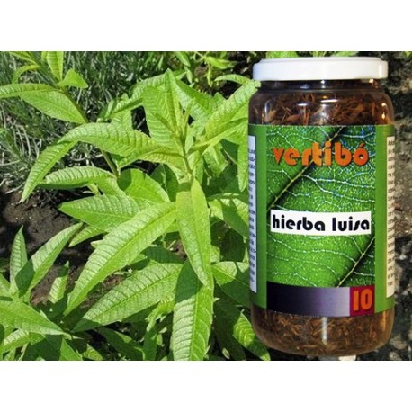 HERBS VERTIBÓ 10 - LEMON VERBENA