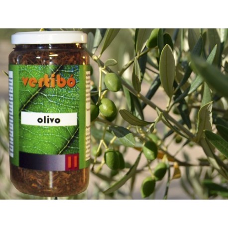 HERBES VERTIBÓ 11 - OLIVERA