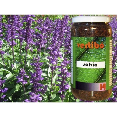 HERBES VERTIBÓ 14 - SÀLVIA